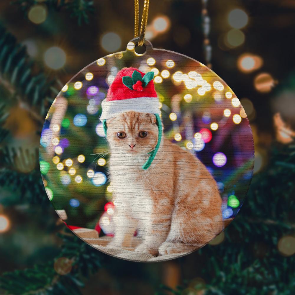 Cute Cat Christmas Ornament 2022 Amazing Decor Ideas